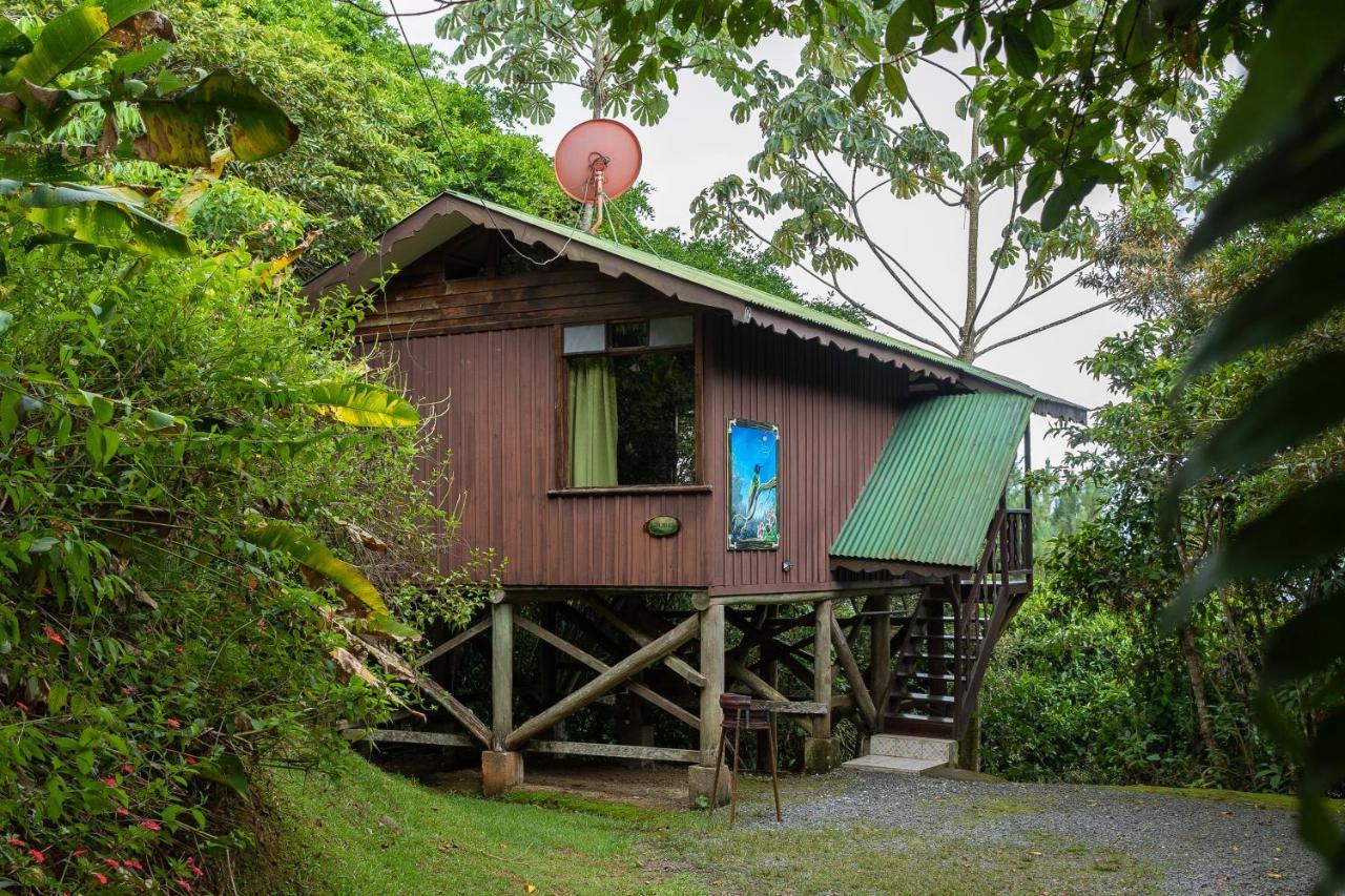 Cabanas El Bosque Turrialba Exterior photo