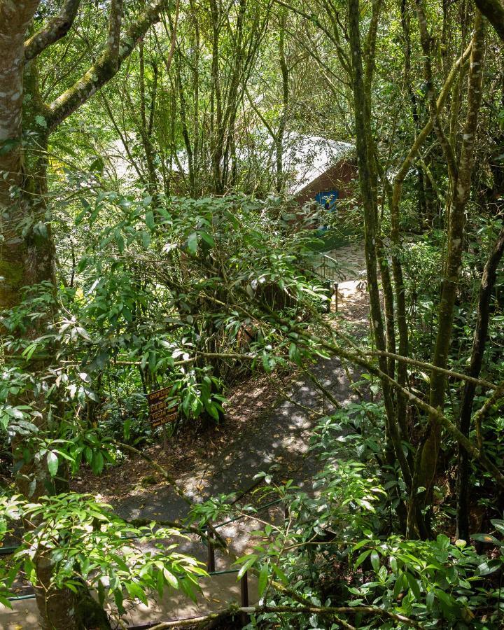 Cabanas El Bosque Turrialba Exterior photo