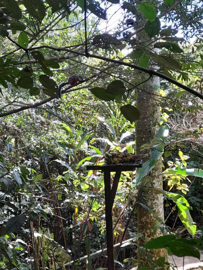 Cabanas El Bosque Turrialba Exterior photo