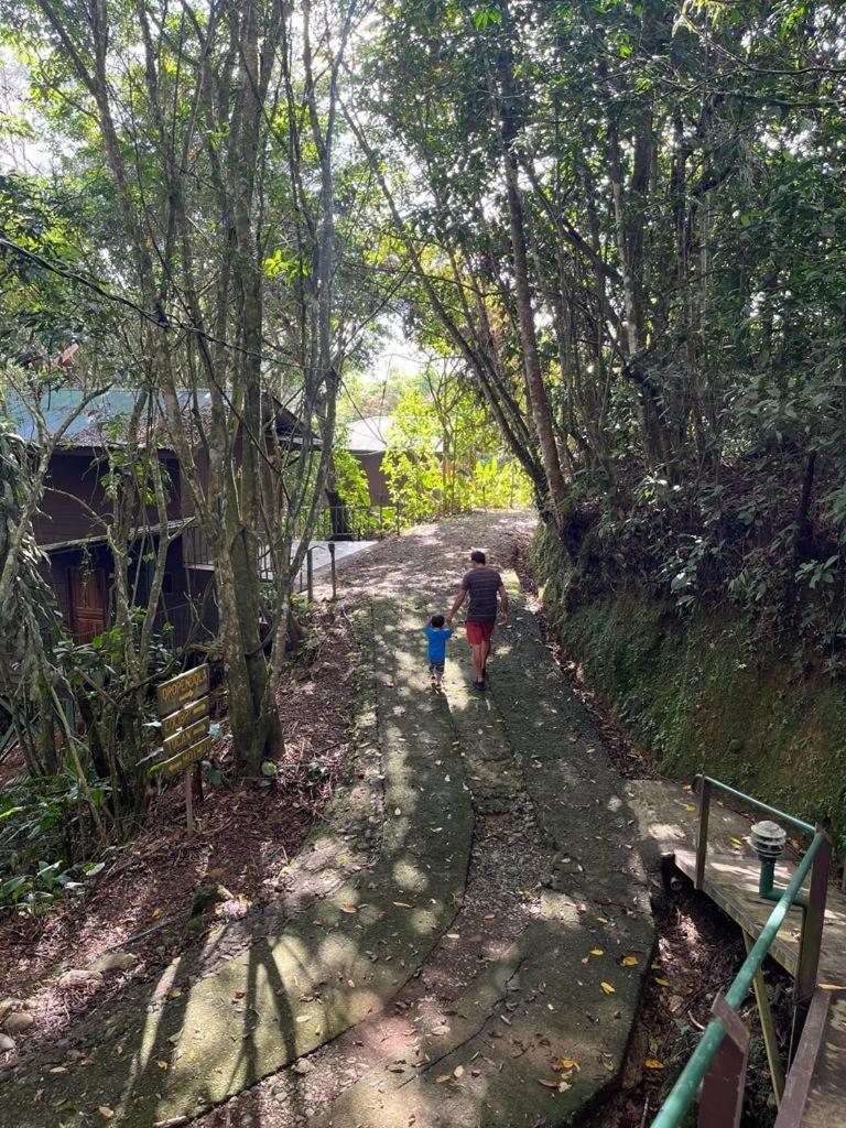 Cabanas El Bosque Turrialba Exterior photo